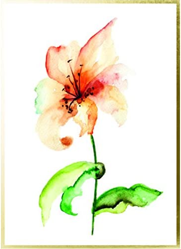 Graphique Watercolor Flowers Greeting Cards | 20 Pack | All Occasion Blank Note Cards with Envelopes | 4 Assorted Floral Designs with Gold Foil Borders | Boxed Set for Personalized Notes | 4.25" x 6" - Image 5
